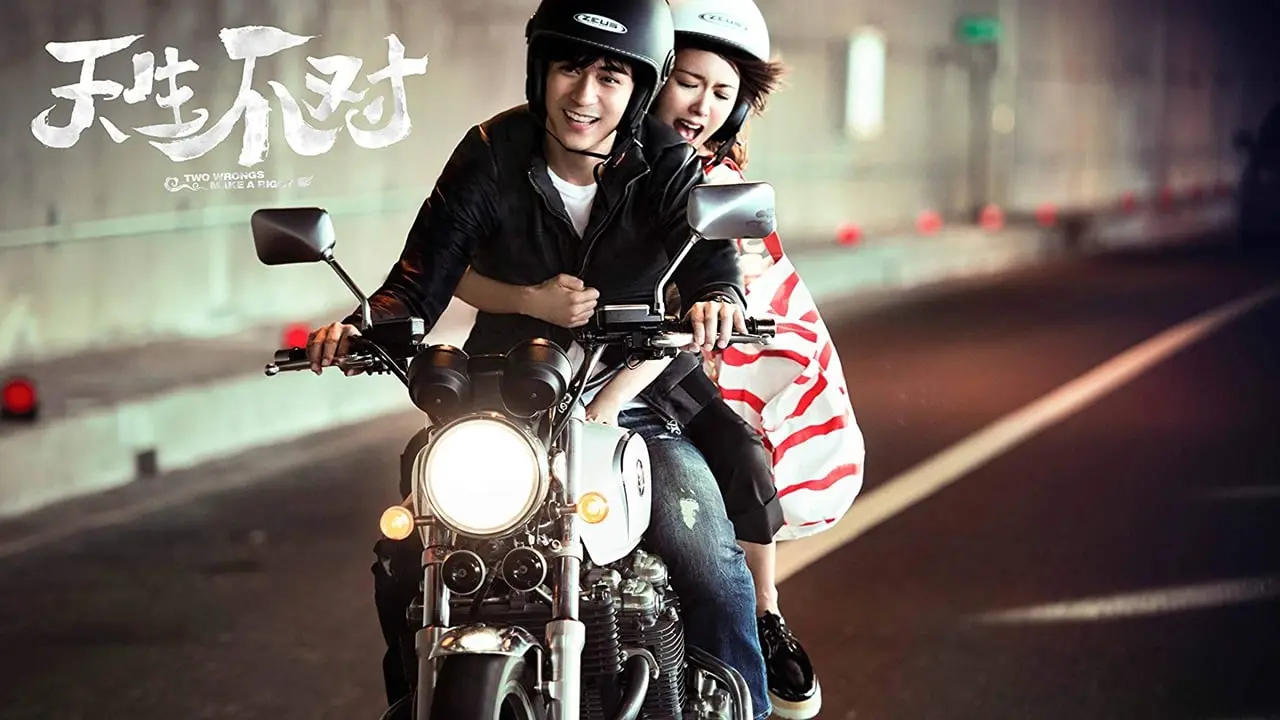 Cặp Đôi Khắc Tinh - Two Wrongs Make a Right (2017) Cặp Đôi Khắc Tinh - Two Wrongs Make a Right (2017)