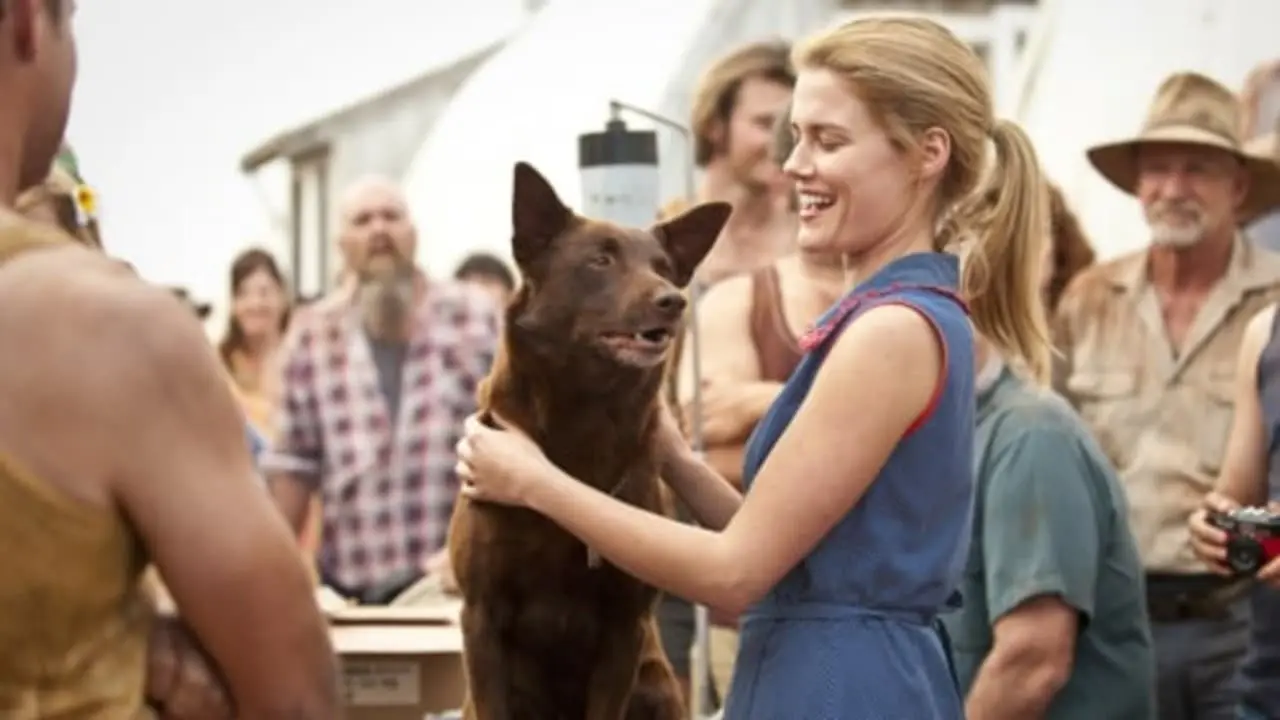 Chú Chó Đỏ - Red Dog (2011) Chú Chó Đỏ - Red Dog (2011)
