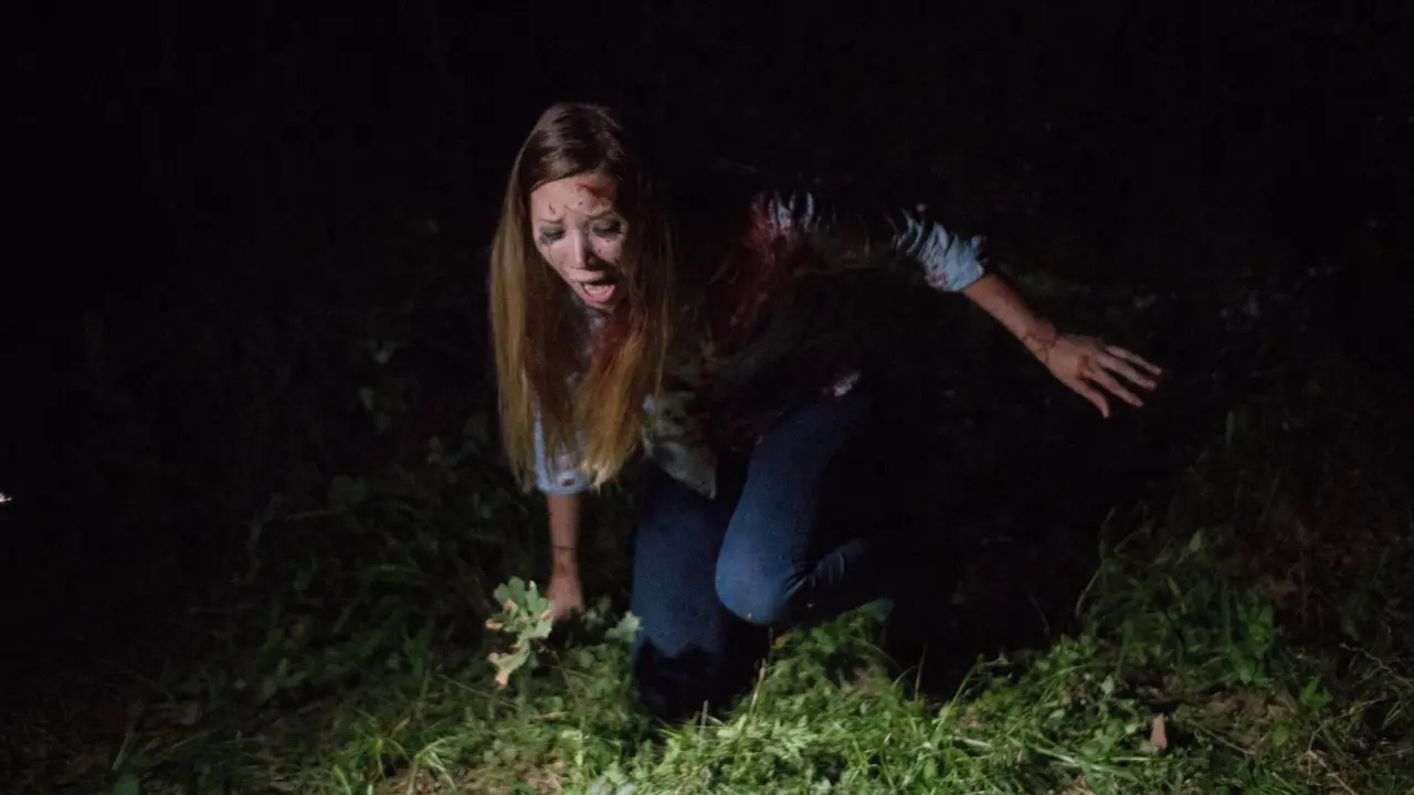 Found Footage 3D - Found Footage 3D (2016) Found Footage 3D - Found Footage 3D (2016)
