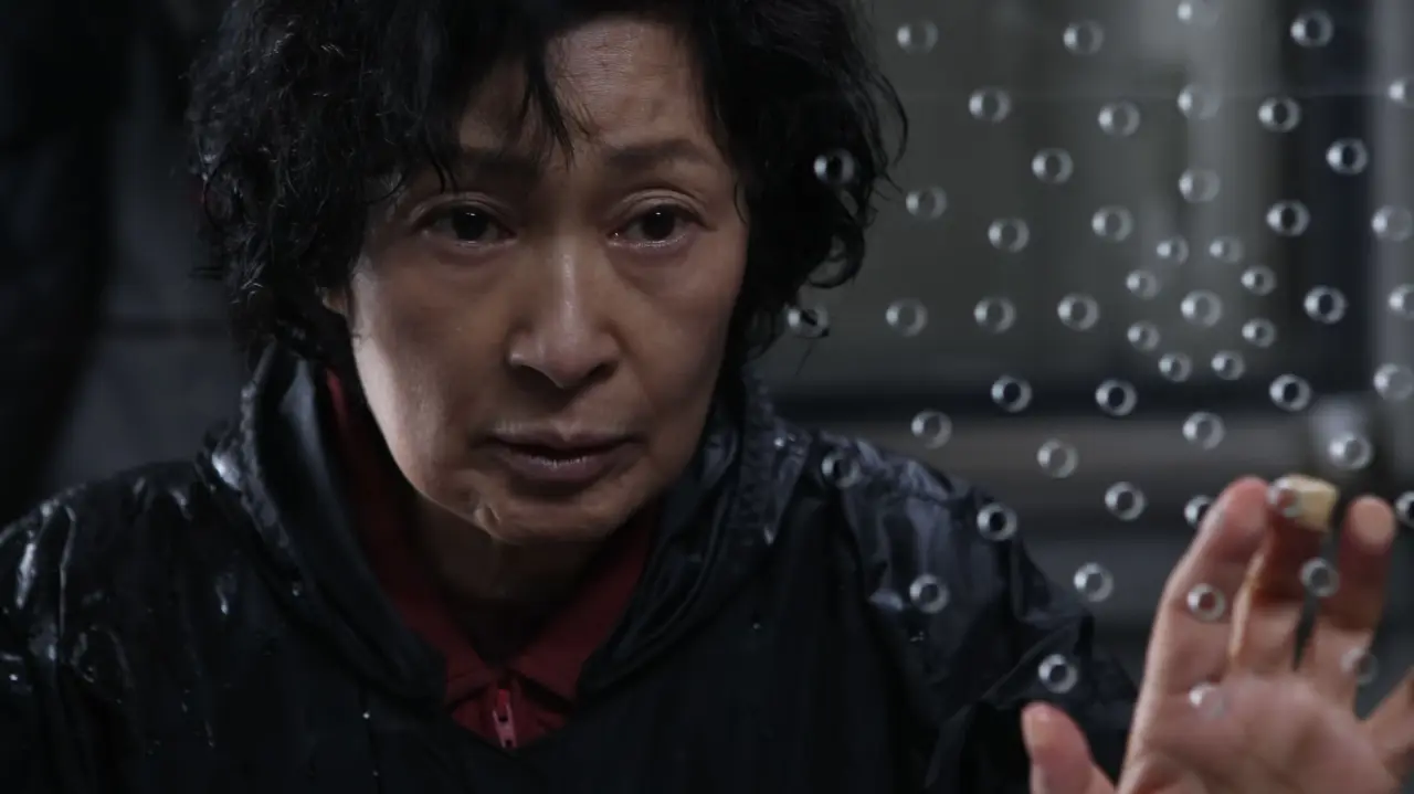 Người Mẹ - Mother (2009) Người Mẹ - Mother (2009)