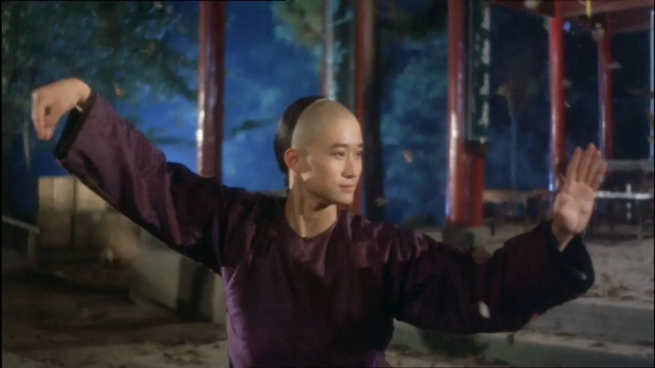 Thái Cực Quyền II - Tai Chi Boxer 2 (1996) Thái Cực Quyền II - Tai Chi Boxer 2 (1996)