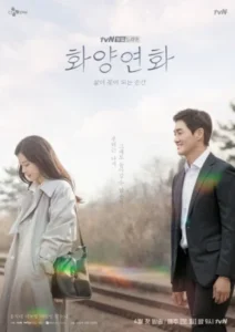 Khi Tình Yêu Nở Rộ